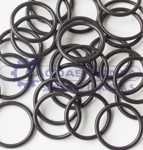 o-ring1