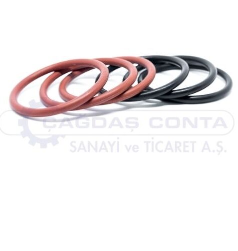 o-ring2