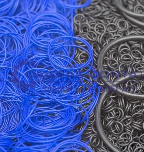 o-ring4